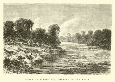 Shore of Sangobatea, Country of the Antis by Edouard Riou